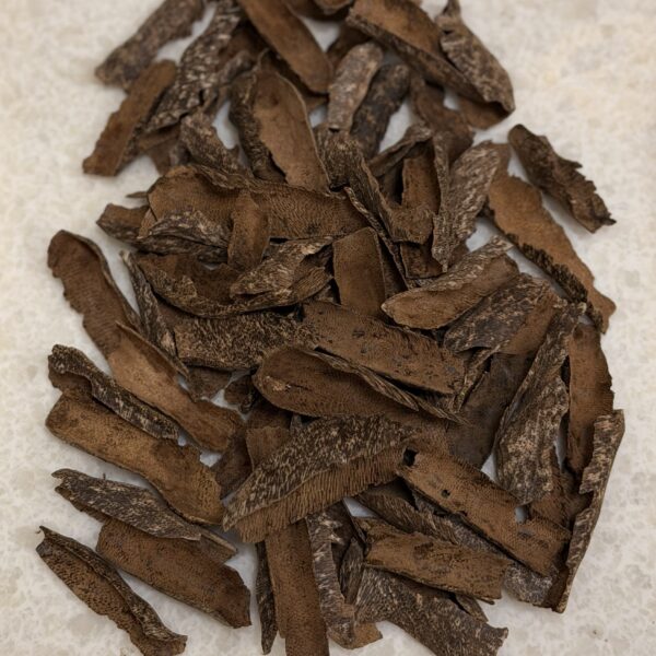 تراد التربة الحمراء ⚜️